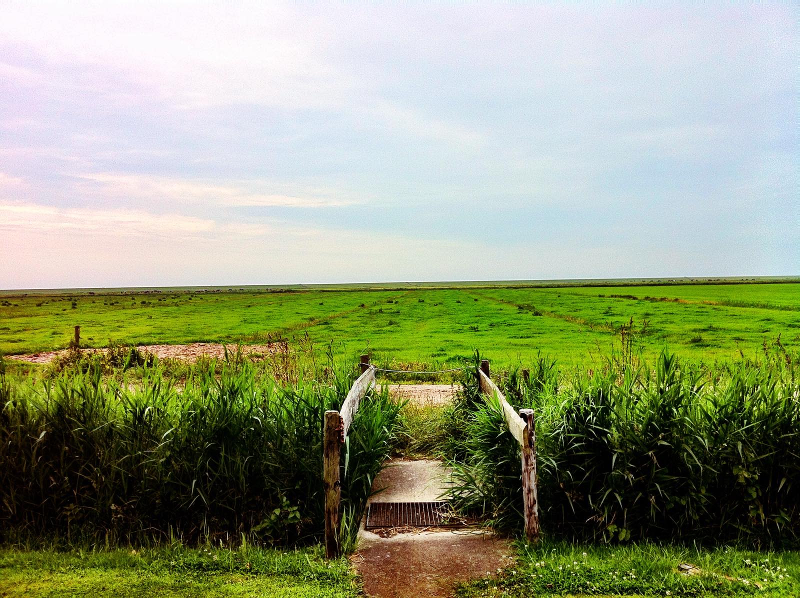 Terschelling, The Netherlands